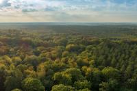 Luchtfoto van de Brabantse Wouden